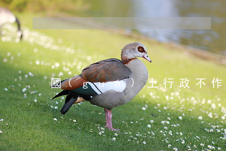 國(guó)土行政不作為起訴書怎么寫