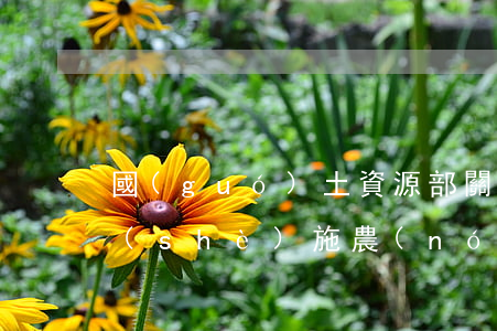 國(guó)土資源部關(guān)于設(shè)施農(nóng)業(yè)法律法規(guī)(設(shè)施農(nóng)用地違法由哪個(gè)部門進(jìn)行處罰)