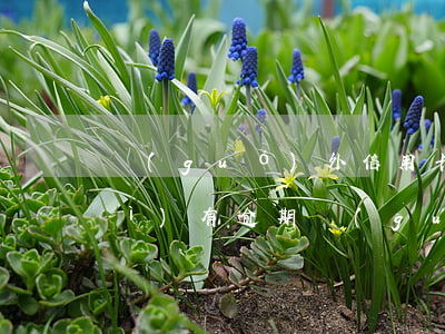 國(guó)外信用卡未激活怎么會(huì)有逾期(國(guó)外信用卡未激活怎么會(huì)有逾期的)