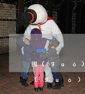 國(guó)外信用卡透支不還的后果(在國(guó)外信用卡不還的后果)