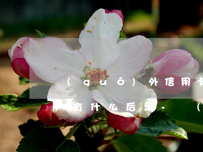 國(guó)外信用卡逾期不還會(huì)有什么后果-國(guó)外信用卡逾期不還會(huì)有什么后果嗎