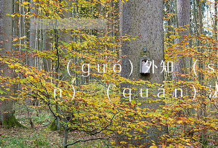 國(guó)外知識(shí)產(chǎn)權(quán)法律法規(guī)分析(1國(guó)外信息安全法的分析研究)