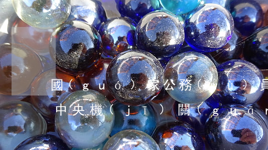國(guó)家公務(wù)員考試今查分 中央機(jī)關(guān)總分不低于105