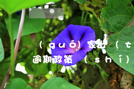國(guó)家出臺(tái)減免信用卡逾期政策時(shí)間-國(guó)家出臺(tái)減免信用卡逾期政策時(shí)間規(guī)定