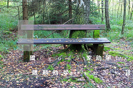 國(guó)家助學(xué)貸款逾期寬限期(助學(xué)貸款利息逾期)