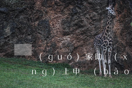 國(guó)家助學(xué)金網(wǎng)上申報(bào)逾期怎么辦-國(guó)家助學(xué)金網(wǎng)上申報(bào)逾期怎么辦啊