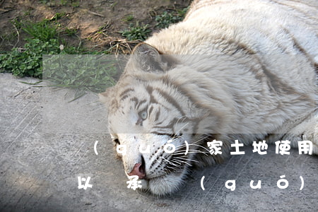 國(guó)家土地使用權(quán)可以繼承嗎(國(guó)有土地使用證可以繼承嗎)