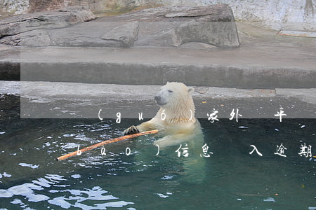 國(guó)家外匯平臺(tái)申報(bào)信息錄入逾期-國(guó)家外匯平臺(tái)申報(bào)信息錄入逾期怎么辦