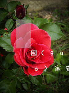 國(guó)家安全包括哪些方面(國(guó)家安全包括哪些方面?我國(guó)的國(guó)家安全教育日是哪一天?)