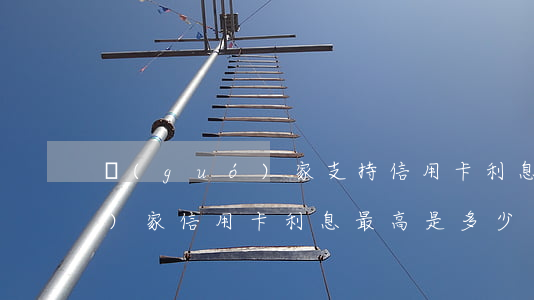 國(guó)家支持信用卡利息 國(guó)家信用卡利息最高是多少
