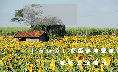 國(guó)家版部那些城管法律法規(guī)(城管的法律法規(guī)都有哪些)