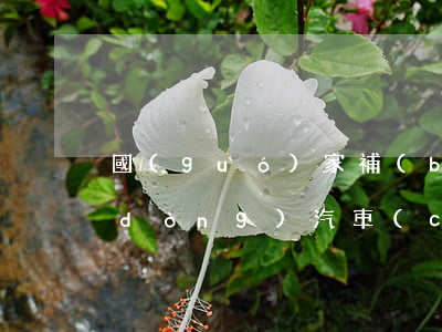 國(guó)家補(bǔ)貼政策(純電動(dòng)汽車(chē)國(guó)家補(bǔ)貼政策)