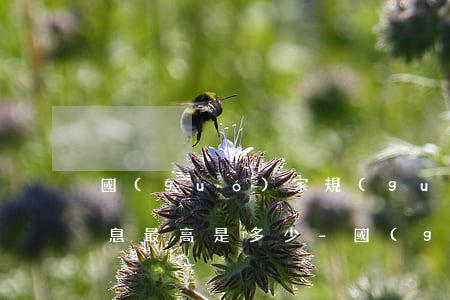 國(guó)家規(guī)定銀行逾期利息最高是多少-國(guó)家規(guī)定銀行逾期利息最高是多少錢