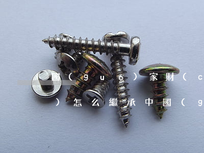 國(guó)家財(cái)產(chǎn)怎么繼承(中國(guó)財(cái)產(chǎn)繼承權(quán))