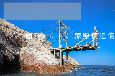 國(guó)家賠償追償程序有哪些步驟