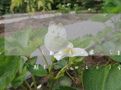 國(guó)家關(guān)于信用卡逾期5萬(wàn)(信用卡逾期超5萬(wàn)怎么處理)
