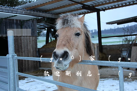 國(guó)家關(guān)于疫情期間貸款逾期利息-國(guó)家關(guān)于疫情期間貸款逾期利息