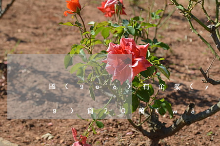 國(guó)有企業(yè)欠網(wǎng)貸20萬(wàn)怎么辦(欠網(wǎng)貸十萬(wàn)怎么辦)