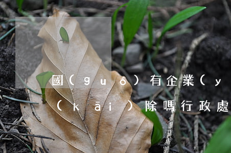 國(guó)有企業(yè)違法可以不開(kāi)除嗎(行政處罰國(guó)企會(huì)開(kāi)除嗎)