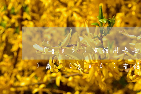 國(guó)有信用卡逾期怎么協(xié)商(國(guó)有信用卡逾期怎么協(xié)商)
