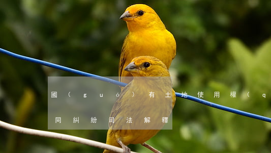 國(guó)有土地使用權(quán)合同糾紛司法解釋