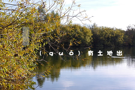 國(guó)有土地出讓
