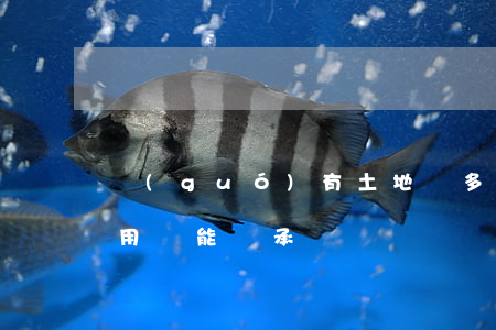 國(guó)有土地證多人怎么繼承(土地使用證能繼承嗎)