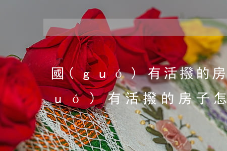 國(guó)有活撥的房子怎么繼承(國(guó)有活撥的房子怎么繼承)