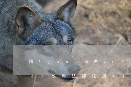 國(guó)有農(nóng)墾企業(yè)改制法律法規(guī)新編(國(guó)有企業(yè)改制有哪些法律法規(guī))