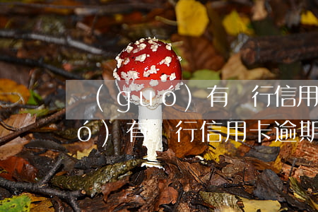 國(guó)有銀行 信用卡逾期-國(guó)有銀行信用卡逾期超5萬(wàn)