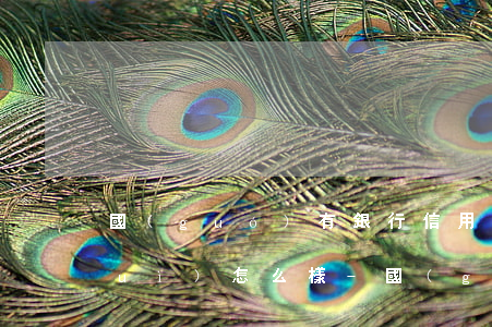 國(guó)有銀行信用卡逾期一年會(huì)怎么樣-國(guó)有銀行信用卡逾期一年會(huì)怎么樣嗎