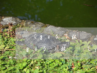 國(guó)林興業(yè)公司延期（國(guó)林興業(yè)惠州逾期）