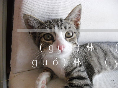 國(guó)林興業(yè)逾期兌付(國(guó)林興業(yè)逾期兌付)