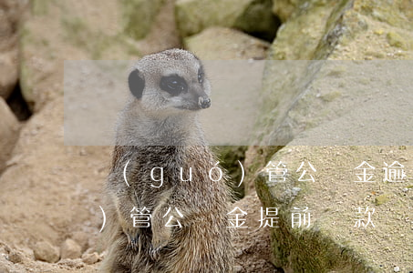 國(guó)管公積金逾期還款(國(guó)管公積金提前還款)
