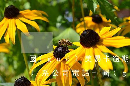 國(guó)美易卡逾期幾天聯(lián)系公司電話-國(guó)美易卡逾期幾天聯(lián)系公司電話怎么辦