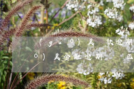 國(guó)美貸款逾期上征信了(國(guó)美金融逾期沒還已經(jīng)上征信了怎么辦)