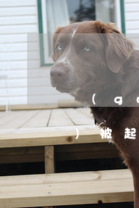 國(guó)美逾期4000元會(huì)被起訴嗎(國(guó)美逾期一個(gè)多月說要去家里真的假的)