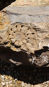 國(guó)美逾期貸款怎么還(國(guó)美小貸怎么還款)