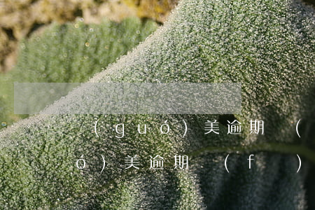 國(guó)美逾期過(guò) 國(guó)美逾期,發(fā)來(lái)信息說(shuō)要提交風(fēng)控部門