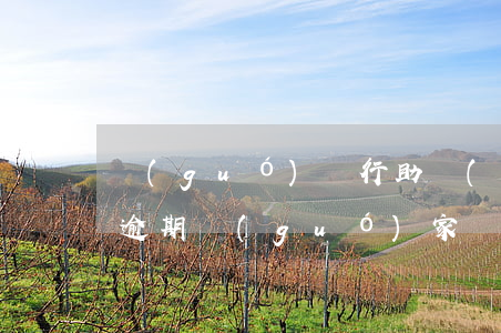 國(guó)開行助學(xué)貸款還款逾期(國(guó)家開發(fā)銀行助學(xué)貸款逾期去哪里消除)