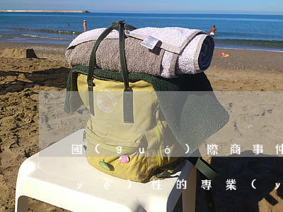 國(guó)際商事仲裁是不是一種商業(yè)性的專業(yè)服務(wù)?