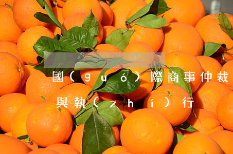 國(guó)際商事仲裁的承認(rèn)與執(zhí)行