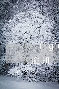 國(guó)際收支申報(bào)幾天算逾期(國(guó)際收支申報(bào)時(shí)間幾天)