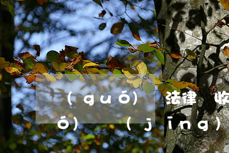 國(guó)際法律師收入怎么樣(國(guó)際經(jīng)濟(jì)法律師的收入)