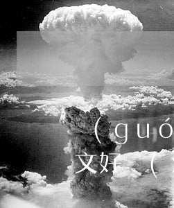 國(guó)際法論文(國(guó)際法論文好寫(xiě)嗎)