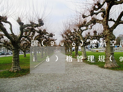國(guó)際航空運(yùn)輸價(jià)格管理規(guī)定最新【全文】
