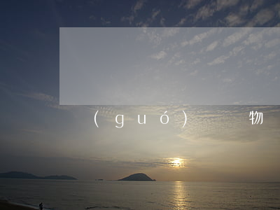 國(guó)際貨物買賣合同糾紛案