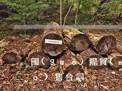 國(guó)際貿(mào)易銷(xiāo)售合同