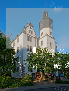 國(guó)際采購(gòu)戰(zhàn)略成功案例