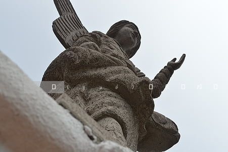 國(guó)際采購招標(biāo)合同